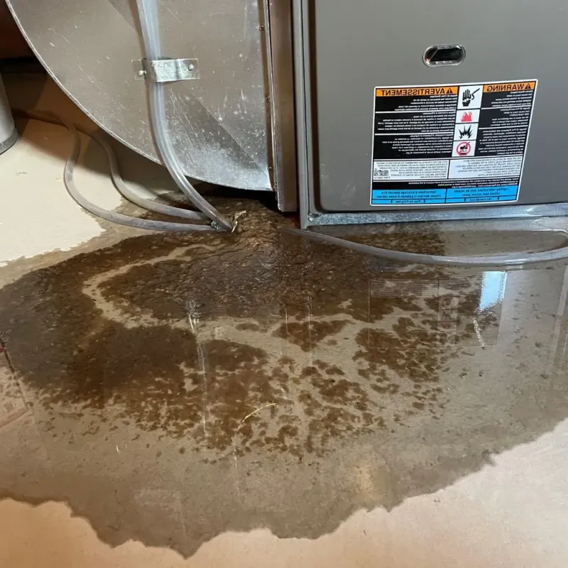 Pipe Burst and Leak Restoration in Flatwoods, KY