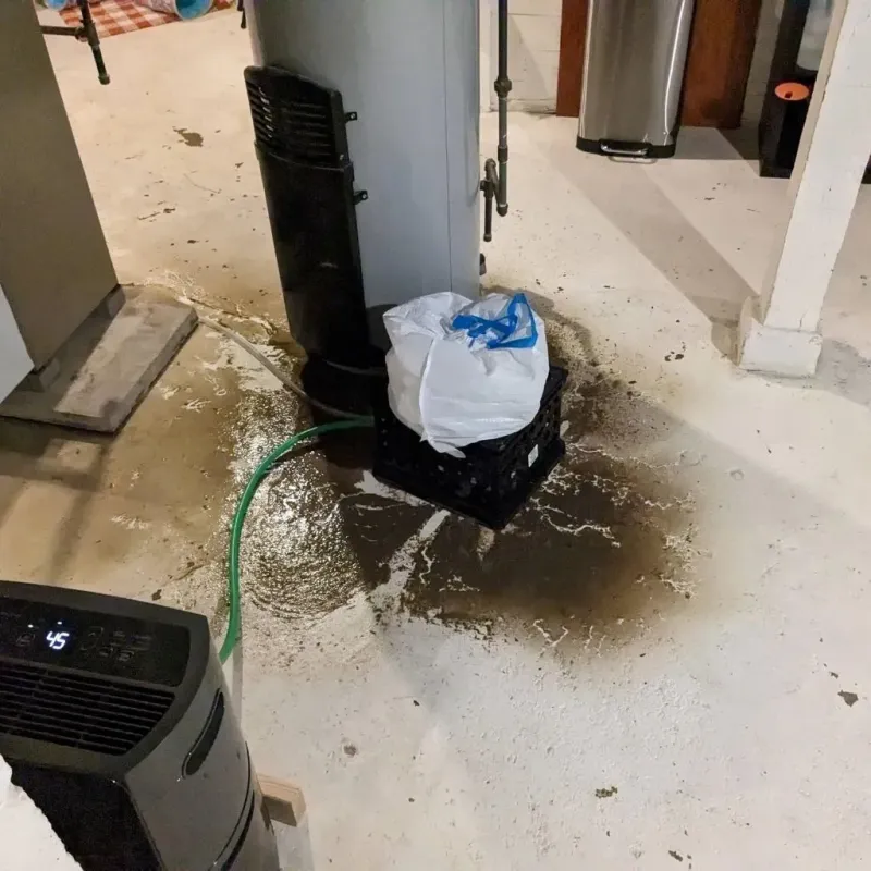 Sewage Backup Cleanup Service in Flatwoods, KY